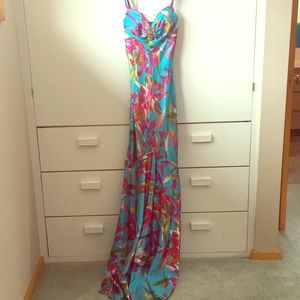 Cache pendent evening gown- AMAZING! 4